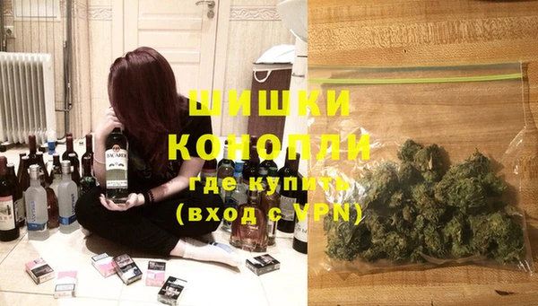 кокс Ельня
