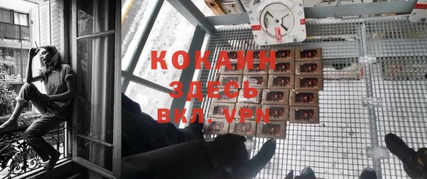 кокс Ельня