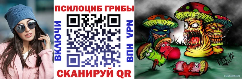 наркотики  Пустошка  Галлюциногенные грибы мицелий 